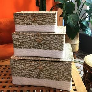 Cutie țesută cu alge marine cu depozitare acoperită